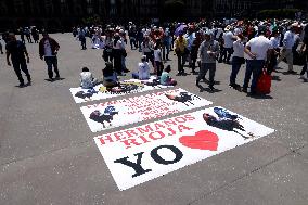 Third Peaceful National March "Animal Welfare With Science" In Mexico City