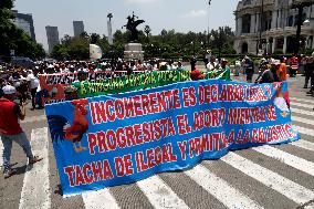 Third Peaceful National March "Animal Welfare With Science" In Mexico City