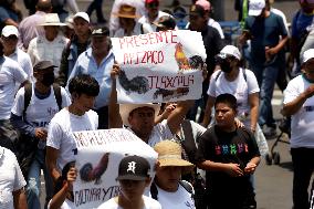 Third Peaceful National March "Animal Welfare With Science" In Mexico City