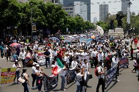 Third Peaceful National March "Animal Welfare With Science" In Mexico City