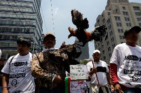 Third Peaceful National March "Animal Welfare With Science" In Mexico City