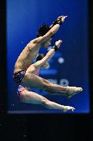 (SP)JAPAN-FUKUOKA-WORLD AQUATICS CHAMPIONSHIPS-DIVING-MIXED 10M PLATFORM SYNCHRONISED