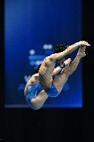 (SP)JAPAN-FUKUOKA-WORLD AQUATICS CHAMPIONSHIPS-DIVING-MIXED 10M PLATFORM SYNCHRONISED