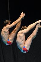 (SP)JAPAN-FUKUOKA-WORLD AQUATICS CHAMPIONSHIPS-DIVING-MEN-3M SYNCHRONISED-FINAL