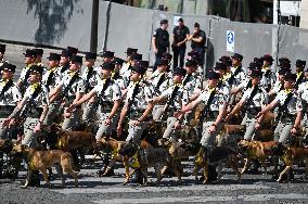 Bastille Day Military Parade - Paris