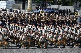 Bastille Day Military Parade - Paris