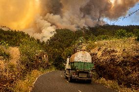Forest Fire In Canary Islands