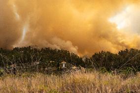 Forest Fire In Canary Islands