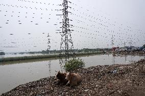 INDIA-FLOODS