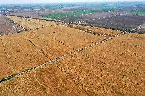 CHINA-XINJIANG-SUMMER HARVEST(CN)