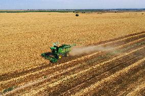 CHINA-XINJIANG-SUMMER HARVEST(CN)