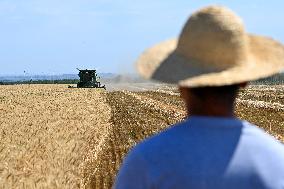 CHINA-XINJIANG-SUMMER HARVEST(CN)