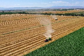 CHINA-XINJIANG-SUMMER HARVEST(CN)