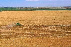 CHINA-XINJIANG-SUMMER HARVEST(CN)