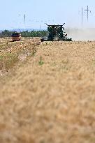 CHINA-XINJIANG-SUMMER HARVEST(CN)