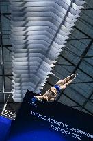 (SP)JAPAN-FUKUOKA-WORLD AQUATICS CHAMPIONSHIPS-DIVING-MEN-1M-FINAL