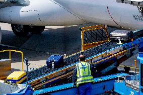 Loading baggage on an KLM Plane - Amsterdam