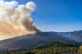 Forest Fire In Canary Islands