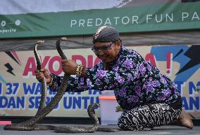 World Snake Day Celebration In Indonesia