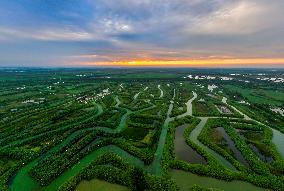 Winding Reeds Maze at Hongze Lake Wetland Park in Suqian
