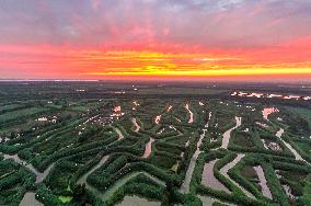 Winding Reeds Maze at Hongze Lake Wetland Park in Suqian