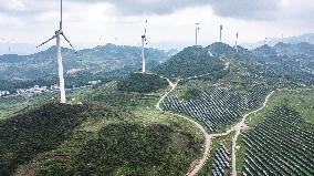 CHINA-GUIZHOU-NEW ENERGY INDUSTRY-DEVELOPMENT (CN)