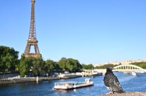 Paris 2024 First Test On The Seine River - Paris