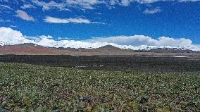 (SKYEYE)CHINA-XINJIANG-ALTUN MOUNTAINS-NATURE RESERVE (CN)