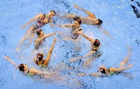 World aquatics championships