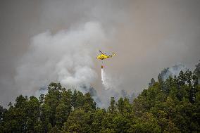 La Palma Fire Rages - Canary Islands