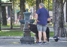 Heat Wave Cerberus Hits southern Europe - Bergamo
