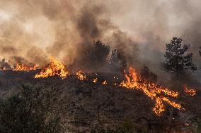 GREECE-LOUTRAKI-WILDFIRES