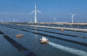 CHINA-HEBEI-LAOTING-MARINE FARM (CN)