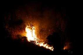 Monte Bonifato Fire - Alcamo