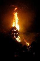 Monte Bonifato Fire - Alcamo
