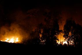 Monte Bonifato Fire - Alcamo