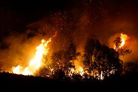 Monte Bonifato Fire - Alcamo