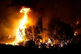 Monte Bonifato Fire - Alcamo