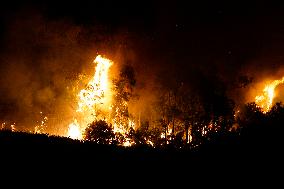 Monte Bonifato Fire - Alcamo