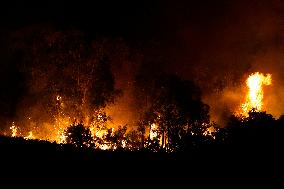 Monte Bonifato Fire - Alcamo