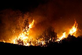 Monte Bonifato Fire - Alcamo