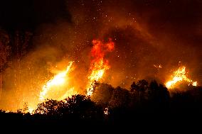 Monte Bonifato Fire - Alcamo