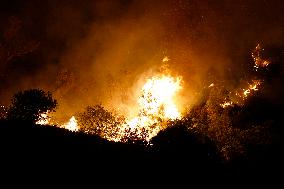 Monte Bonifato Fire - Alcamo