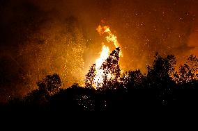 Monte Bonifato Fire - Alcamo