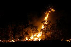 Monte Bonifato Fire - Alcamo