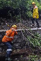 CHINA-GUANGXI-TYPHOON TALIM-2ND LANDFALL (CN)