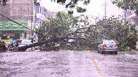 CHINA-GUANGXI-TYPHOON TALIM-2ND LANDFALL (CN)