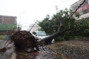 CHINA-GUANGXI-TYPHOON TALIM-2ND LANDFALL (CN)