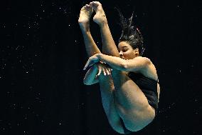 (SP)JAPAN-FUKUOKA-WORLD AQUATICS CHAMPIONSHIPS-DIVING-MIXED 3M/10M TEAM-FINAL