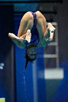 (SP)JAPAN-FUKUOKA-WORLD AQUATICS CHAMPIONSHIPS-DIVING-MIXED 3M/10M TEAM-FINAL